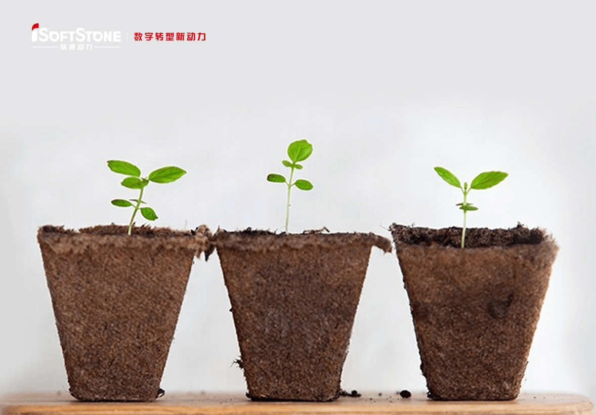 学術的継続可能の革命精神で地方の子供たちに愛を渡す——iSoftStoneは再び公共福祉教育を支援する。。。。。